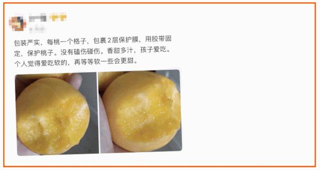 沂蒙山蒙阴黄金油蟠桃,山东蒙阴正宗黄金油桃