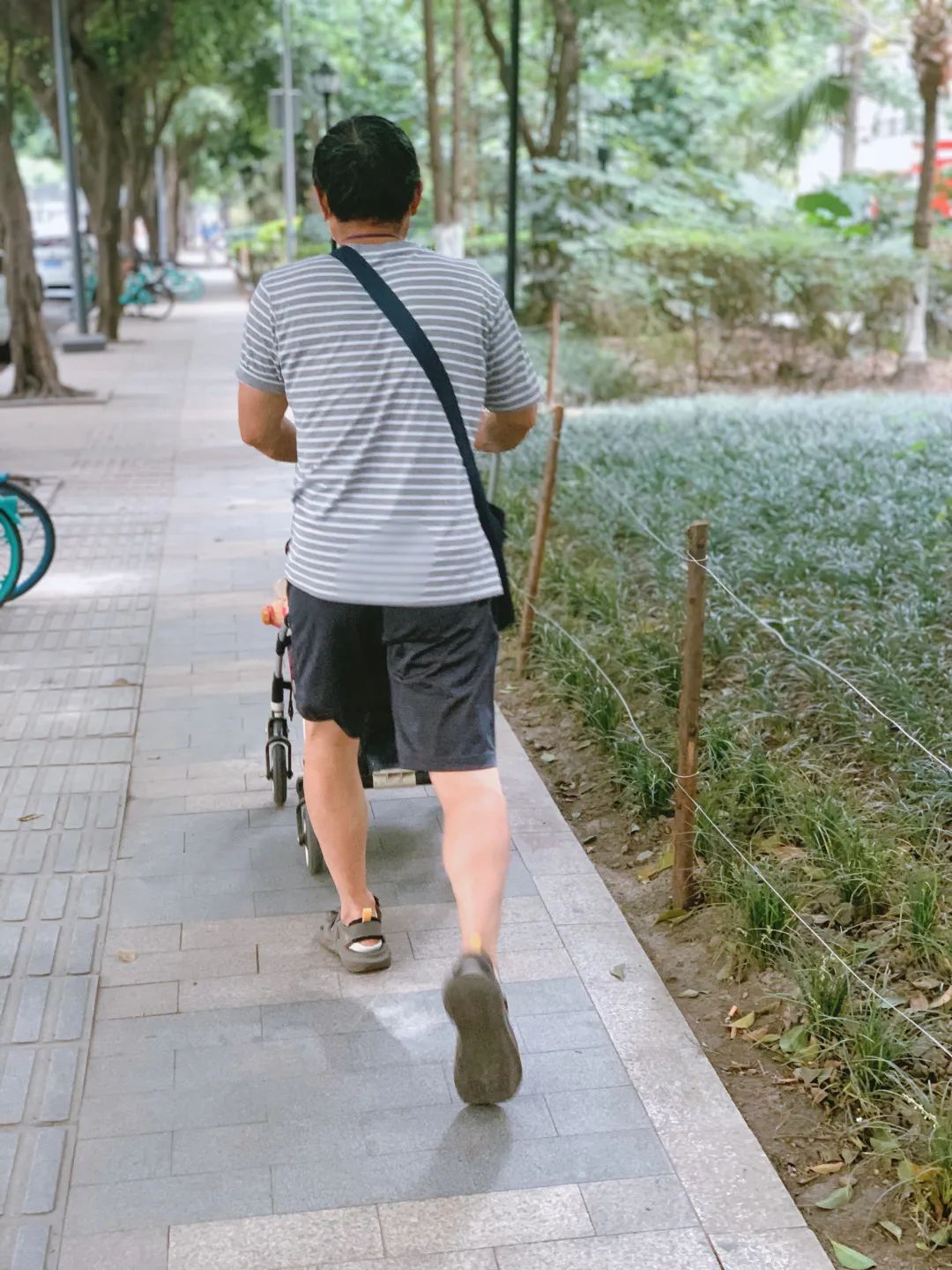 四川耙耳朵的爸爸,成都耙耳朵爸爸