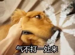 超微小气泡毛孔吸尘器使用方法,毛孔吸尘器去黑头收缩毛孔