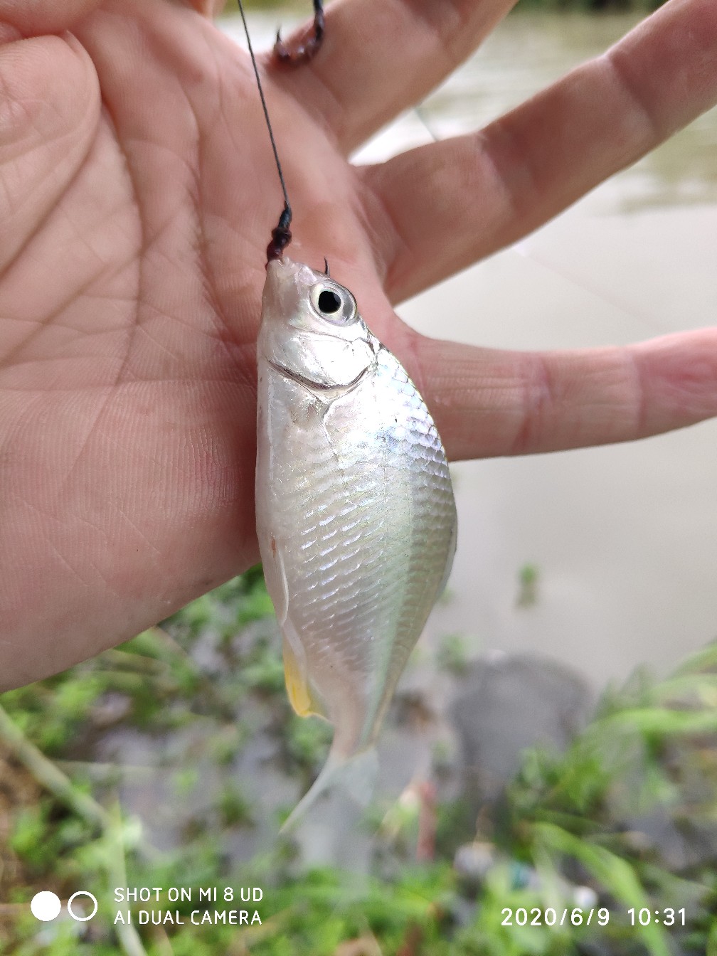 小矶竿导环怎么修复,小矶竿手把节修复