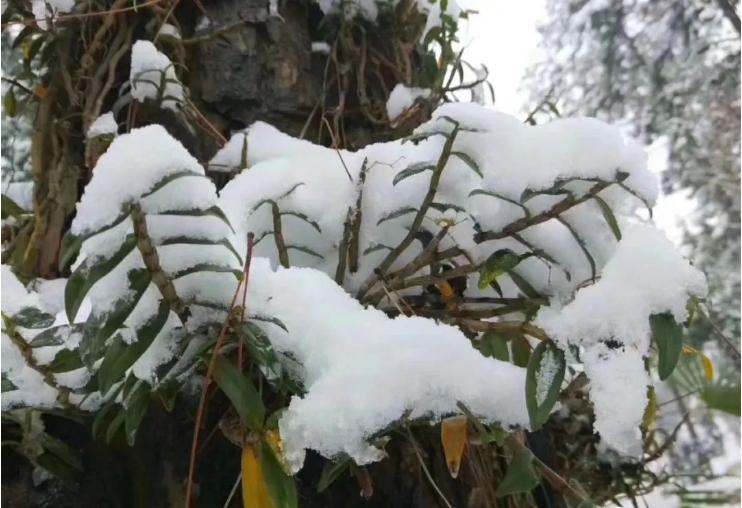 美文阅读人生如诗读后感,悦读美文领悟生活