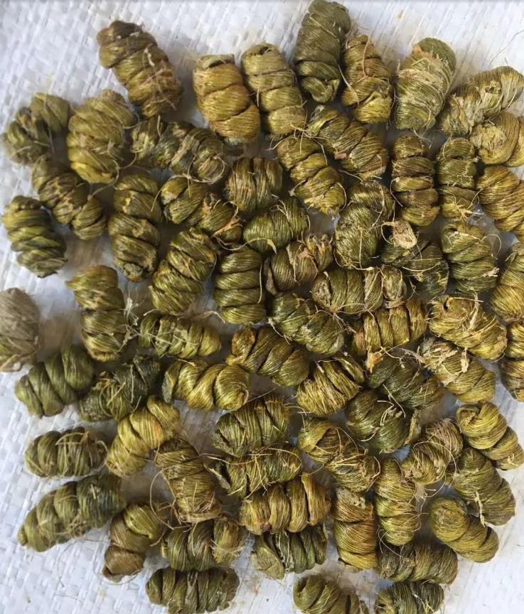 美文阅读人生如诗读后感,悦读美文领悟生活