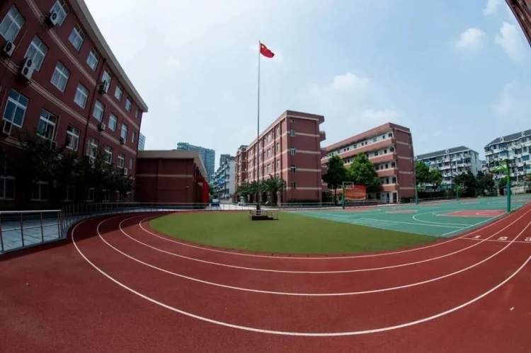 近三年上海小升初人数统计,2023上海各区小升初人数