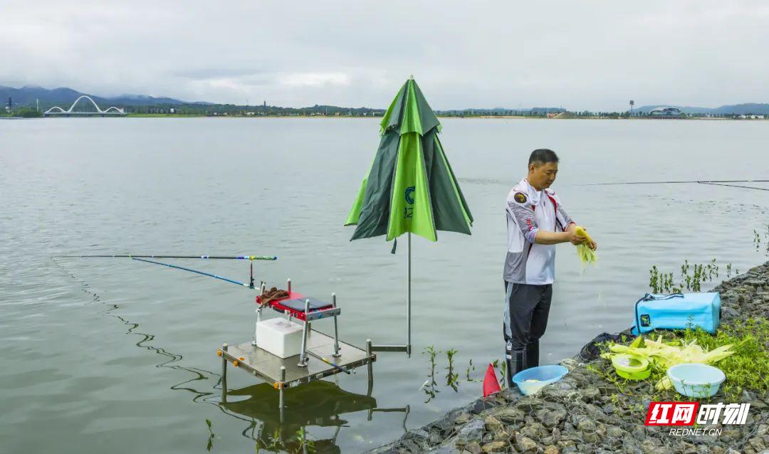望江钓鱼比赛,望江亭钓鱼大赛
