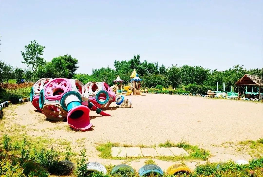 奔跑吧,小骑士!浪漫花彩小镇来场萌趣十足的比赛吧~