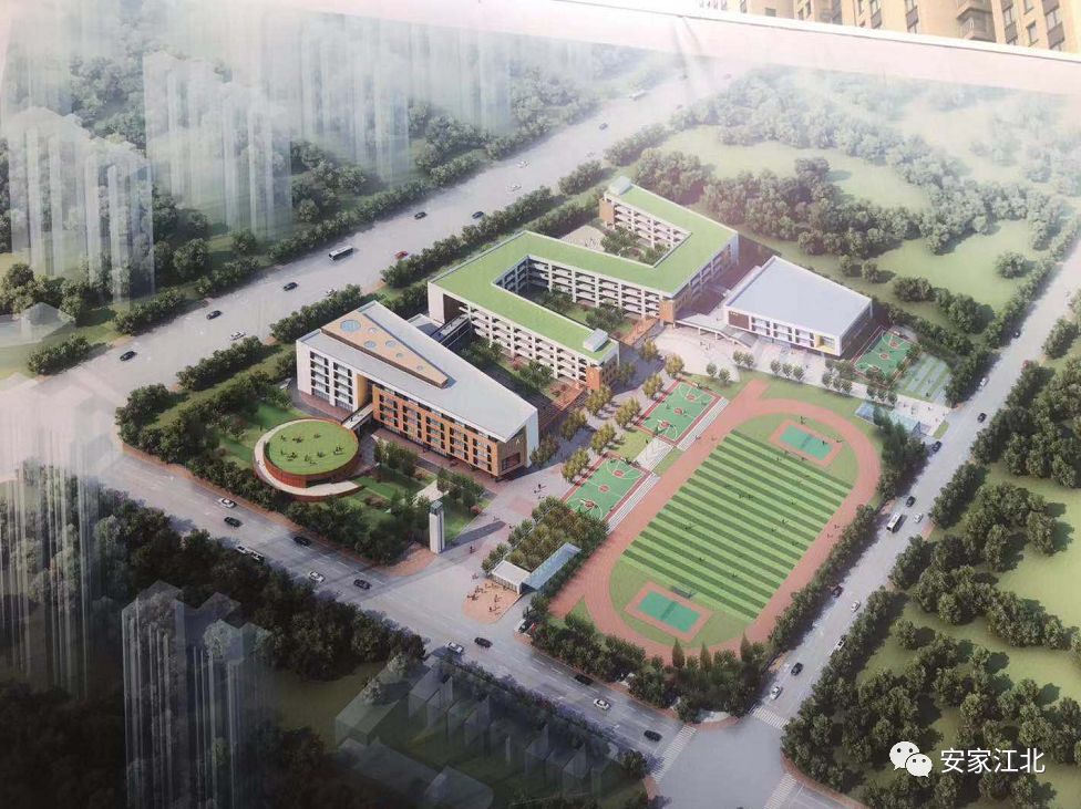 南京鼓楼区公办小学排名最新,南京新学校最新消息