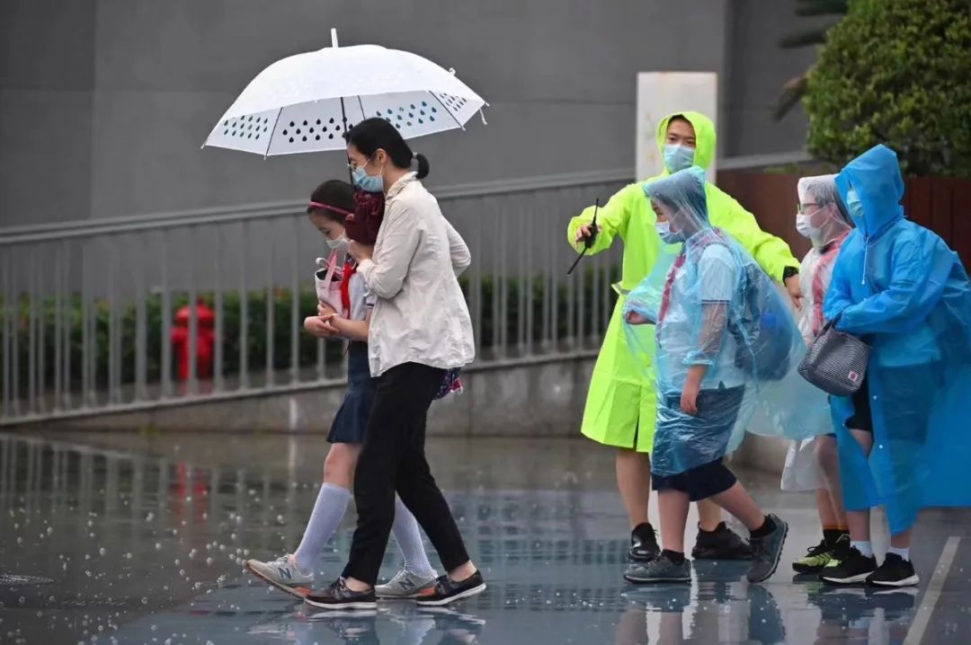 2017年小学学校师德师风工作,小学教师师德师风专题研讨