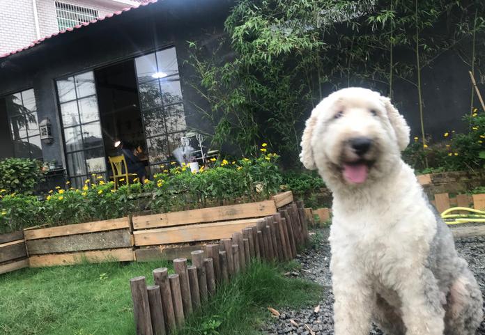 藏在长沙巷子里的宝藏店铺,长沙有意思的店