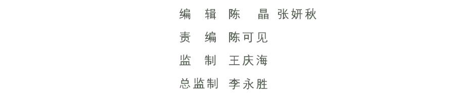 东平县接山镇统一规划,东平接山镇在搞什么