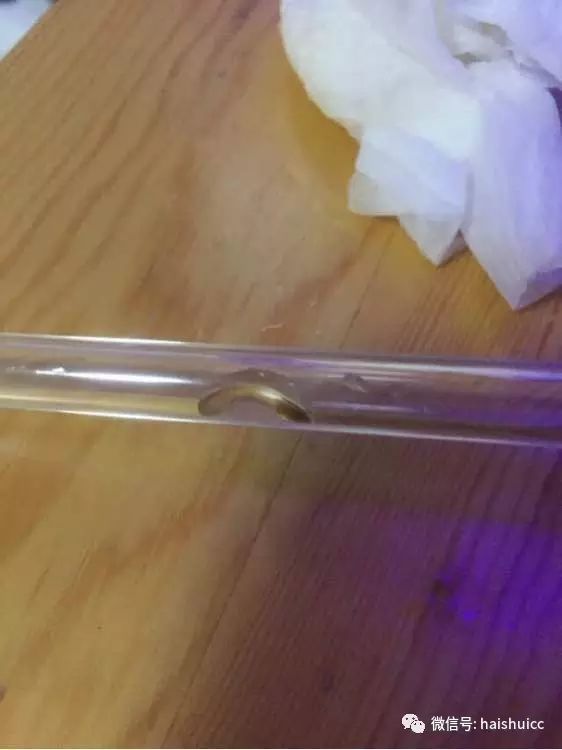 活珊瑚的正确养殖方法,姬珊瑚的养殖方法和注意事项