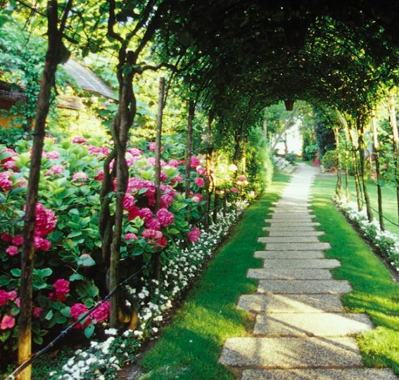 许你“梦想”与“美德”，这个传奇酒店品牌公布中文名