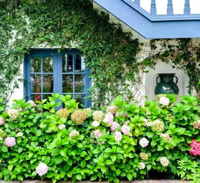 许你“梦想”与“美德”，这个传奇酒店品牌公布中文名