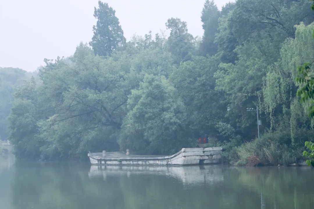 北京大学2020毕业典礼门票亮相！网友：要留好！