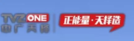 电视指南|网络电影市场激流勇进，这15家机构因何立足？