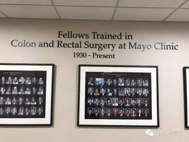 梅奥诊所经历,梅奥诊所真实照片
