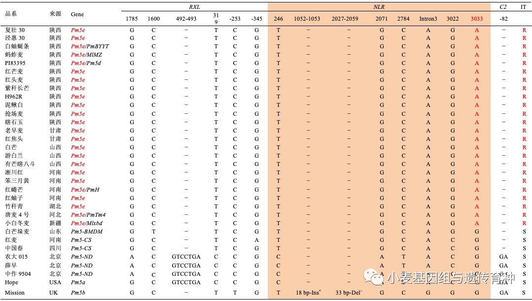 重磅袭来|刘志勇团队与李洪杰团队合作连续克隆两个小麦抗*粉白**病基因