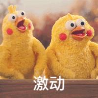 杭州公交123路,杭州南站到西湖公交最佳路线