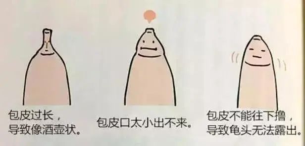 女生胸部发育怎么教育,胸部发育该怎么教育