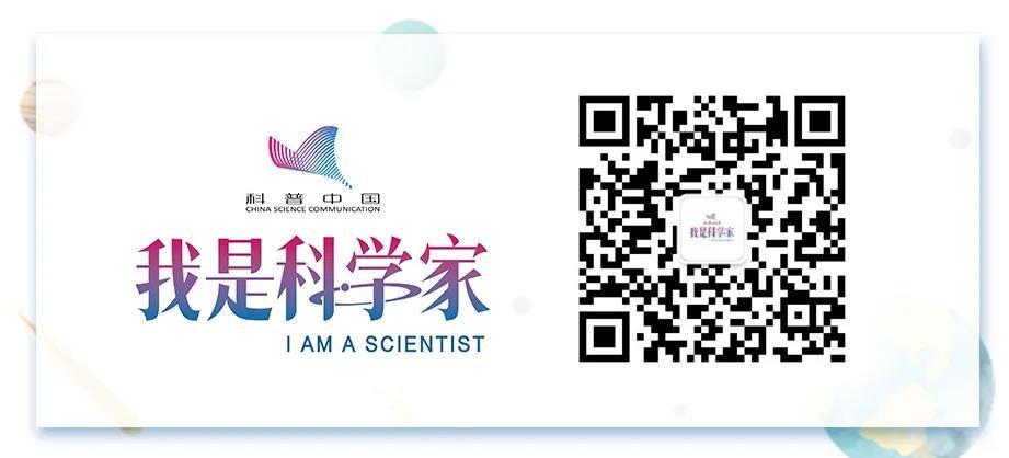 为什么吃什么饭都不香,为什么你做的饭不香