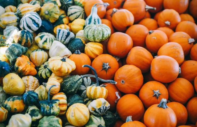 脂肪肥胖怎么减肥最快,内脏脂肪怎样减肥最快