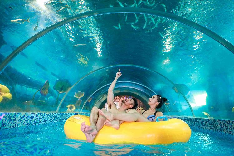 汉海鲸豚湾水世界最新,汉海鲸豚湾水世界开园了吗