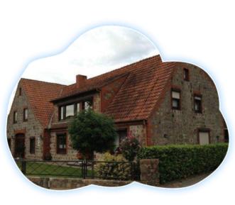 日本正宗蚊香,蚊香日本