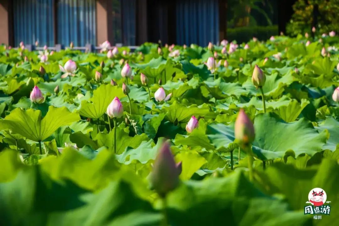 福州市节假日免费乘公交地铁,福州地铁公交周末节假日免费坐