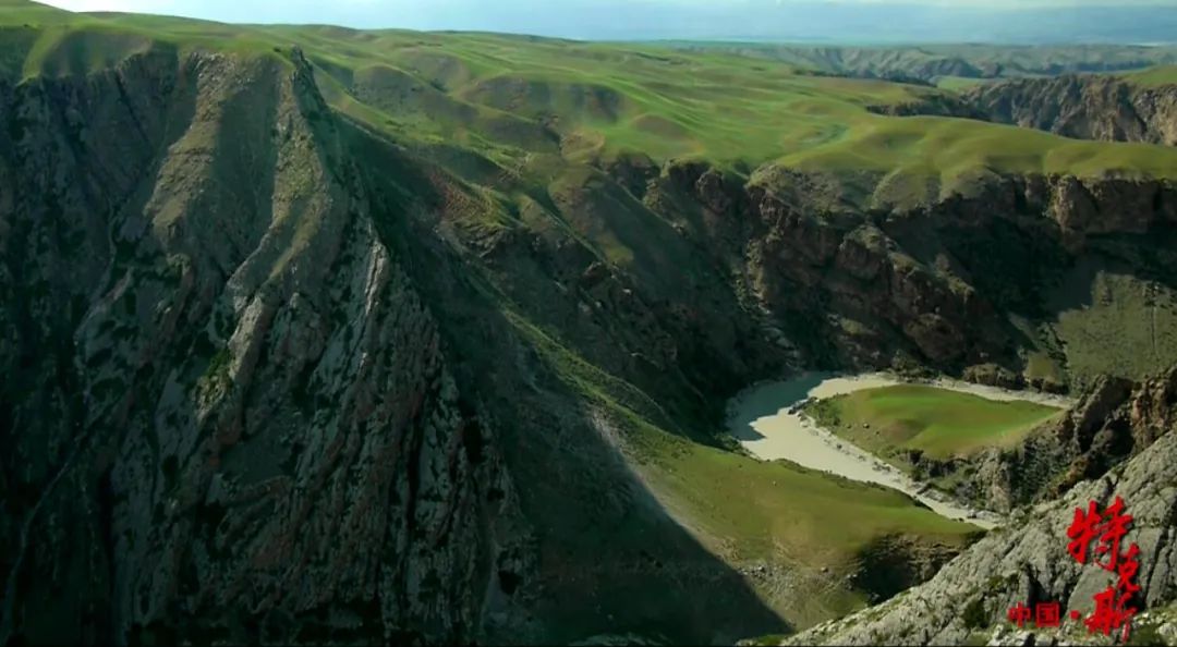 新疆伊犁昭苏油菜花几月开,大美新疆昭苏特克斯油菜花