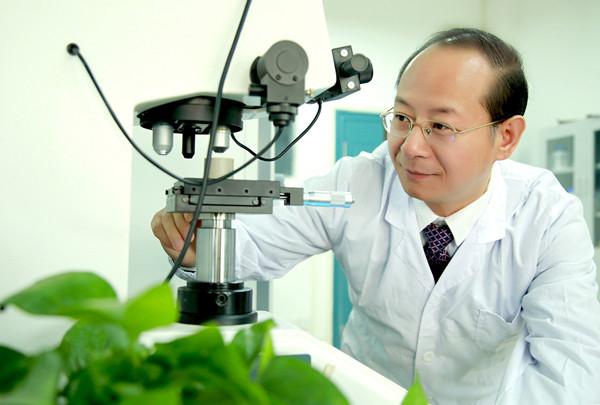 你好这里是成都,校园生活武汉科技大学