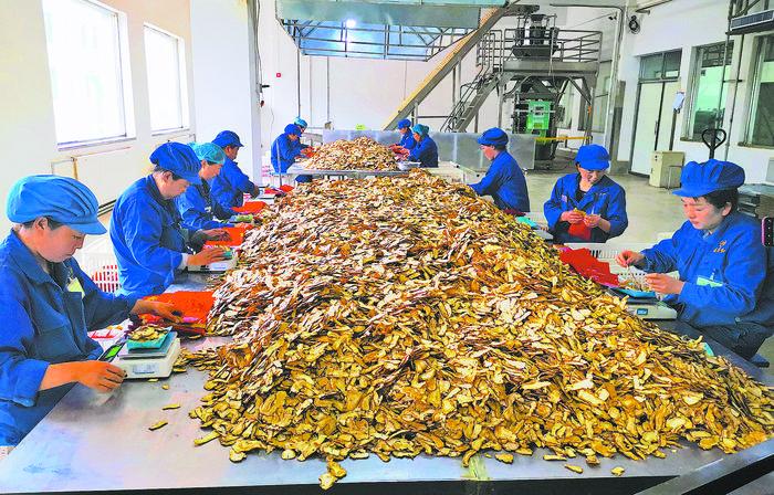 焕发乡风文明新活力乡镇,岷县新旧面貌变化