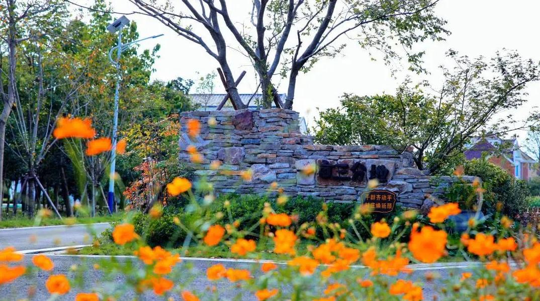 上海宝山：找准产业定位，寻求差异化发展，都市乡村振兴之路越走越宽