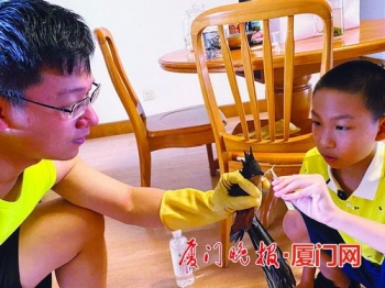 遇到受伤的鸟类该怎么办,碰见受伤的鸟怎么处理