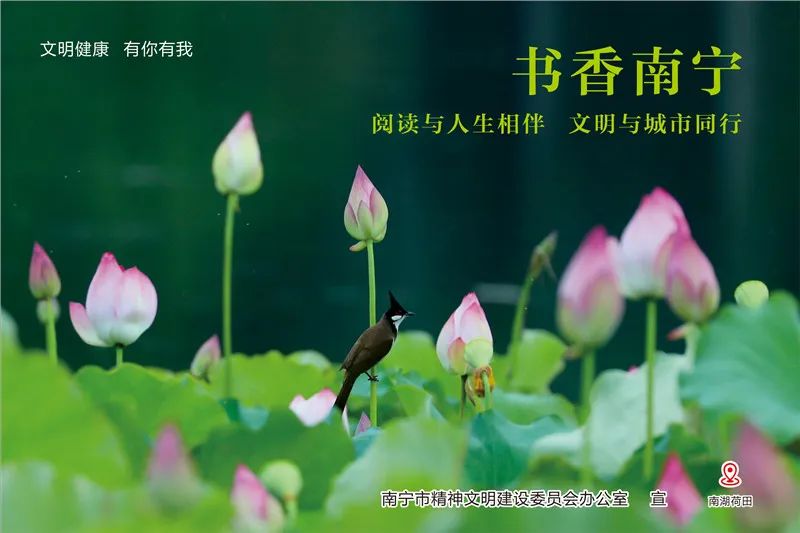 武鸣乡村旅游景点,武鸣区旅游业