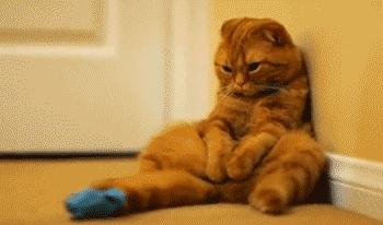 无锡附近哪里有夏令营值得推荐,无锡儿童夏令营