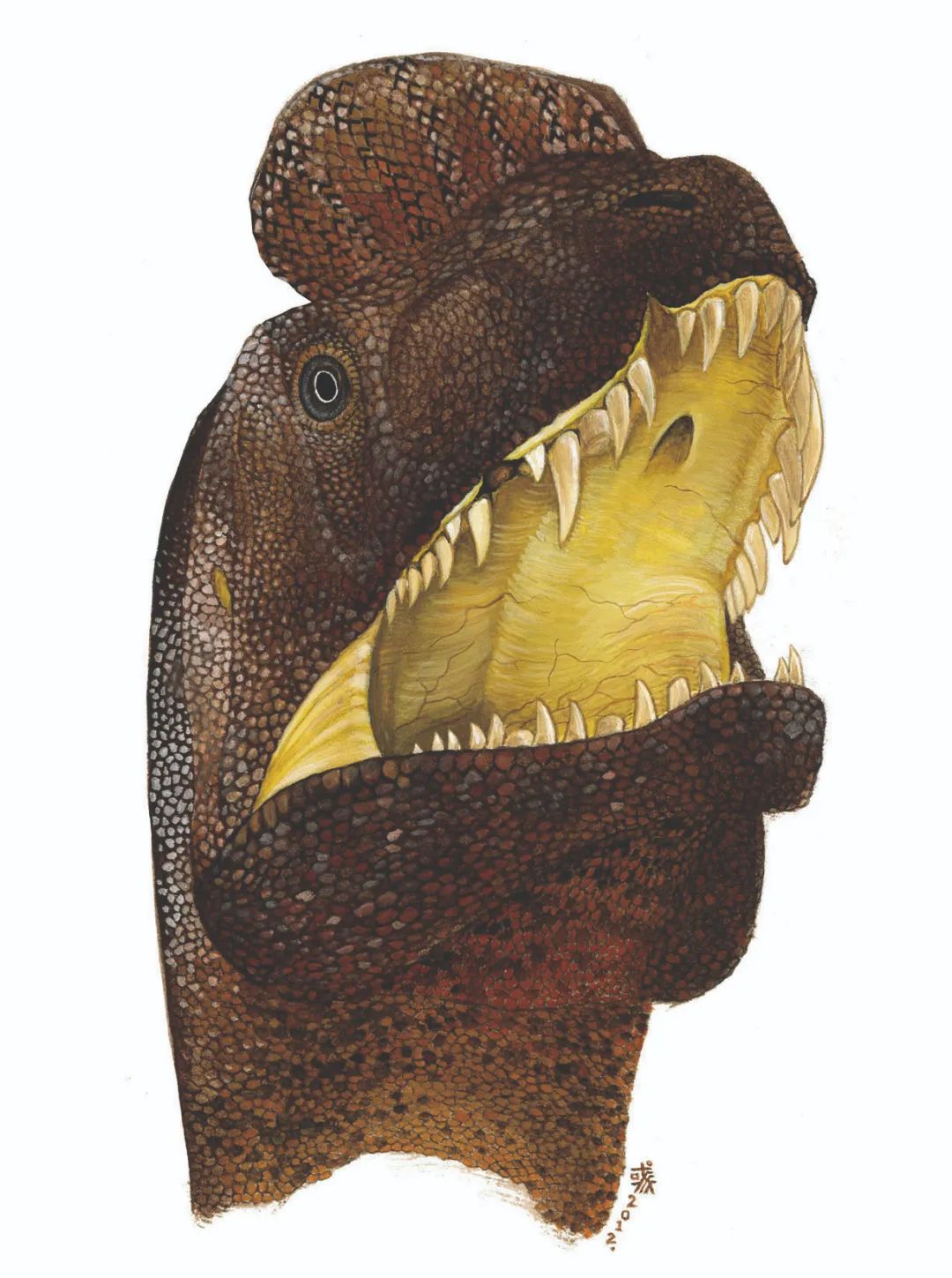 阳光童书｜《非主流恐龙记》：来自史前现场的侦探手记