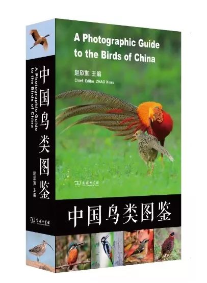 中国好书奖2017,中国好书排行榜2020文津图书奖