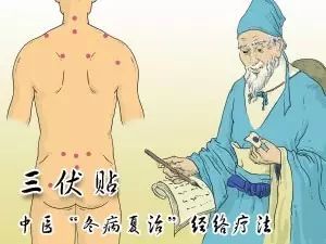 三伏贴注意事项及告知书,天津预约三伏贴