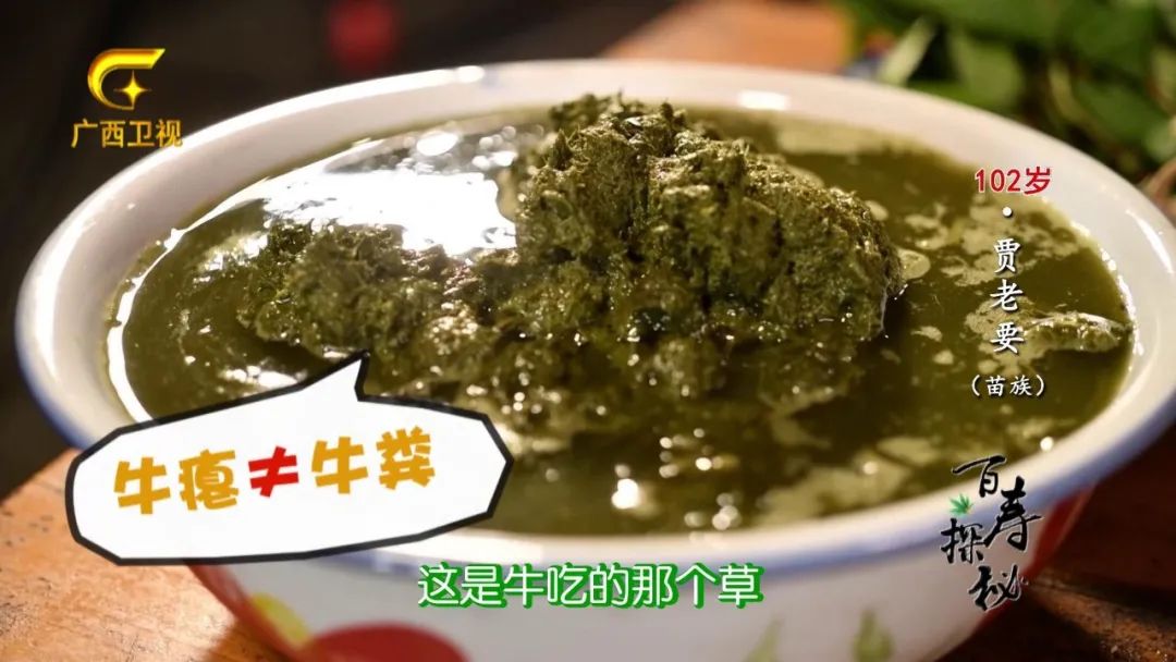 牛胃里的草叫什么,牛胃里的牛草黄