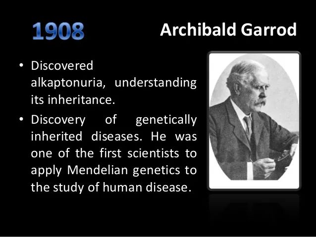 表现为技工手的尿黑酸尿症