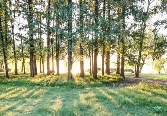 绿色低碳生活金点子征集中,绿色环保金点子有哪些