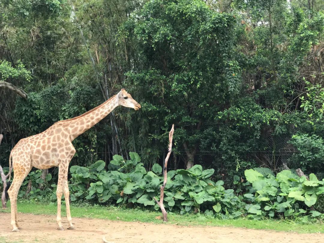 从国企到央企工作感受,从国企出来的感悟