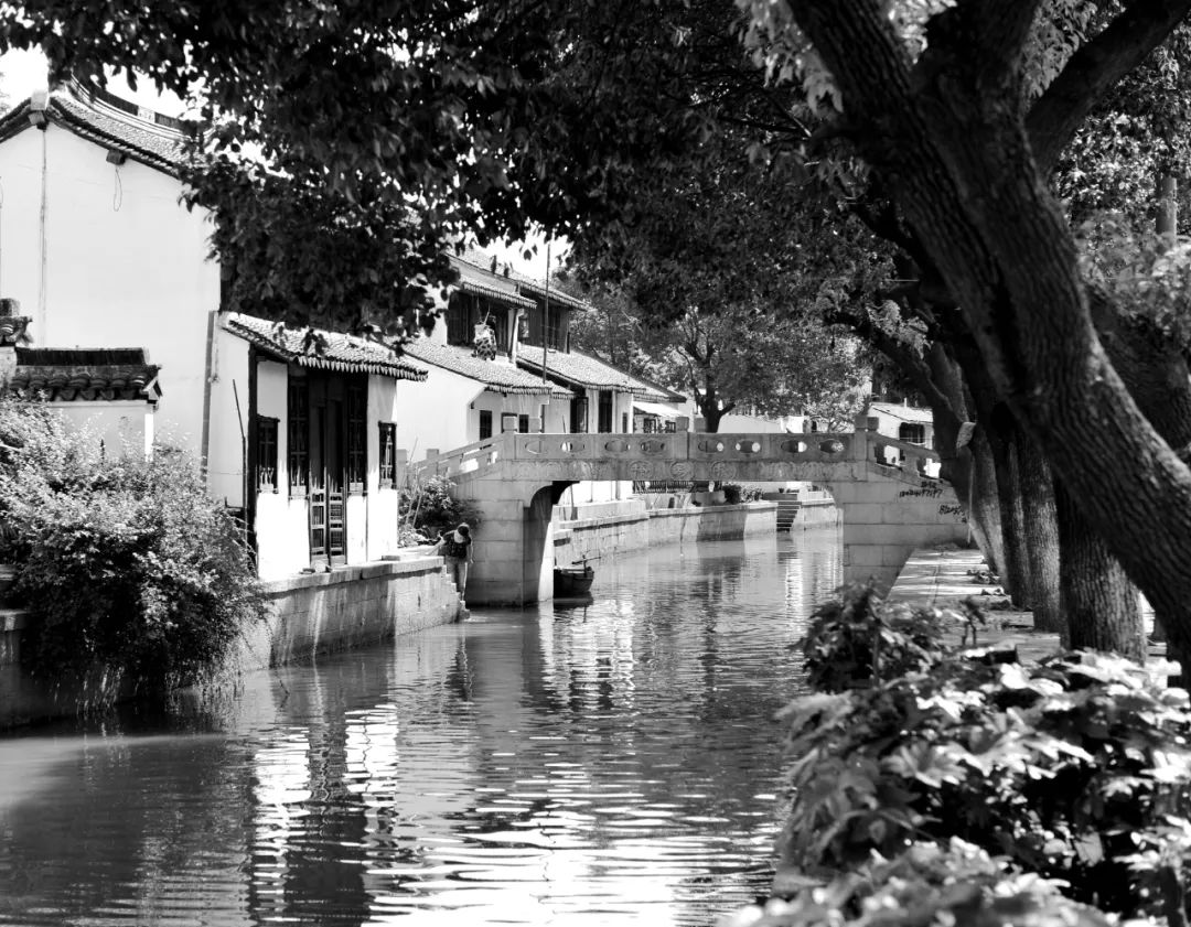 江南大桥邹逸麟,邹逸麟