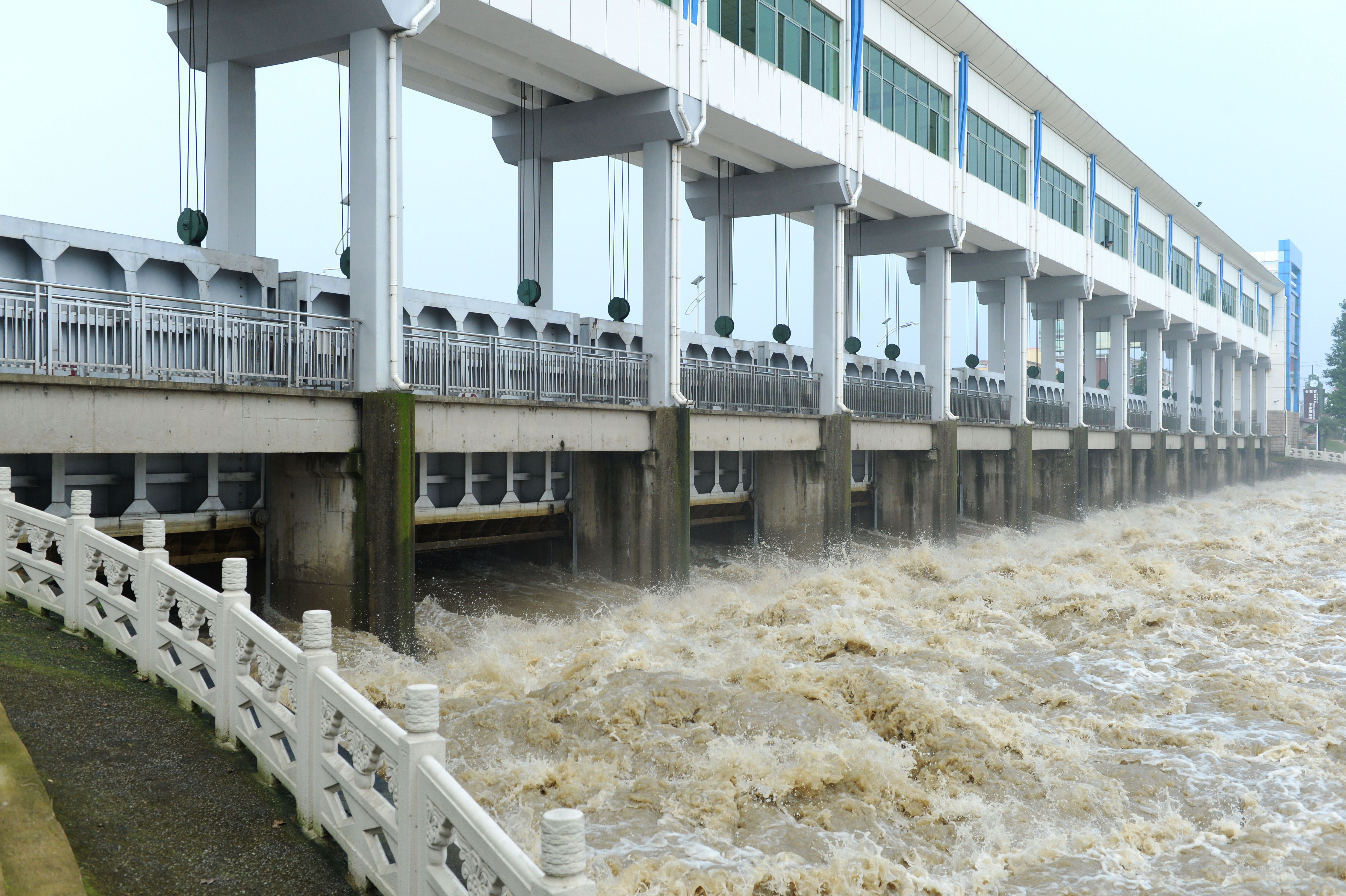 湿地怎样调蓄洪水净化水质,调蓄洪水与调洪蓄水的关系