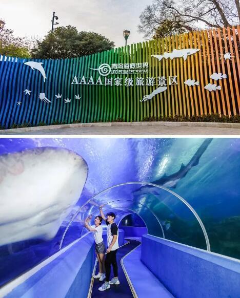 免费！半价！1000000个产品等你来撩“好客山东游品荟”来啦