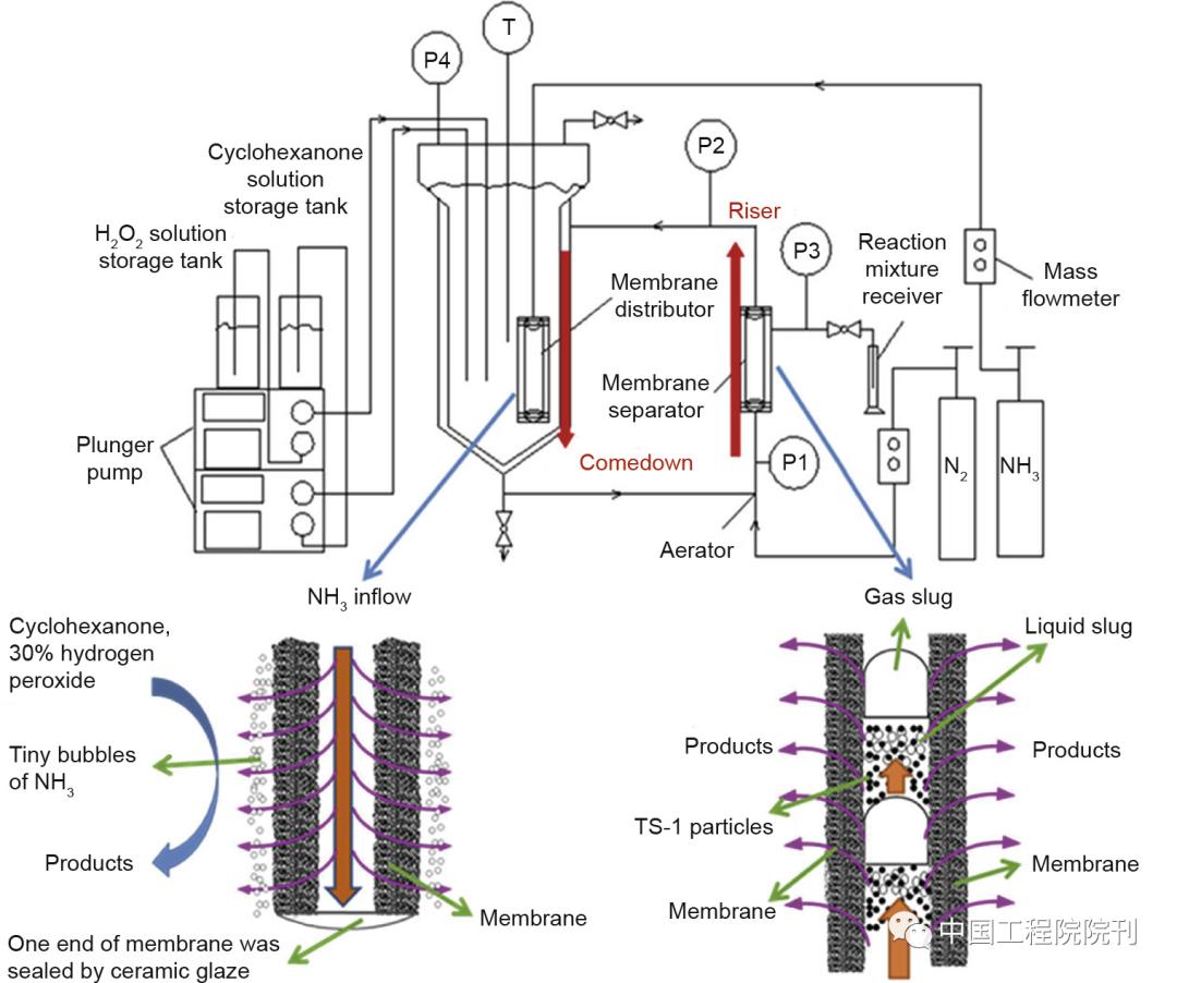 膜生物反应器研究新进展与应用,前沿化学研究课题