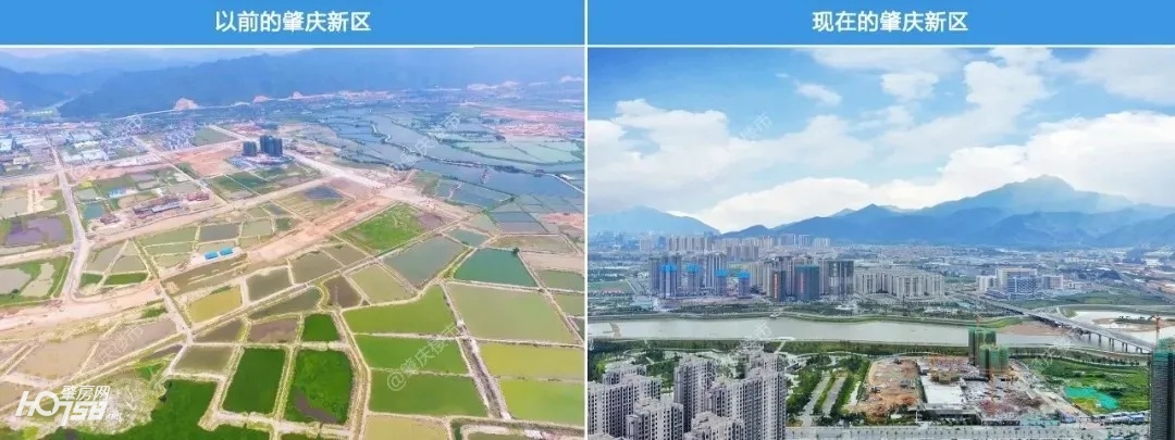 肇庆新区和四会哪个潜力大,肇庆新区和大旺哪个更有发展潜力