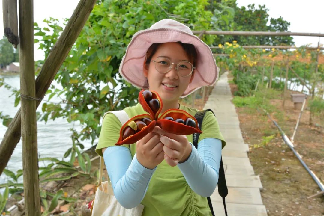 走进乡镇群众乐享文化大餐,百姓文化云上蔡