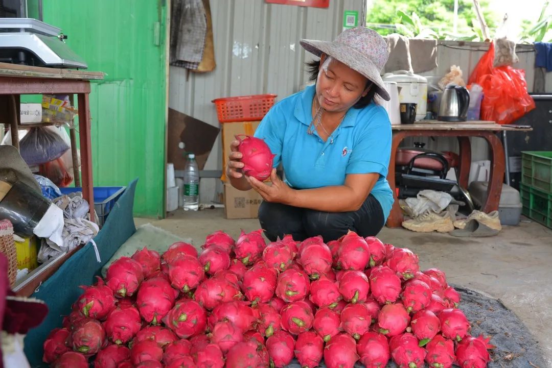 走进乡镇群众乐享文化大餐,百姓文化云上蔡