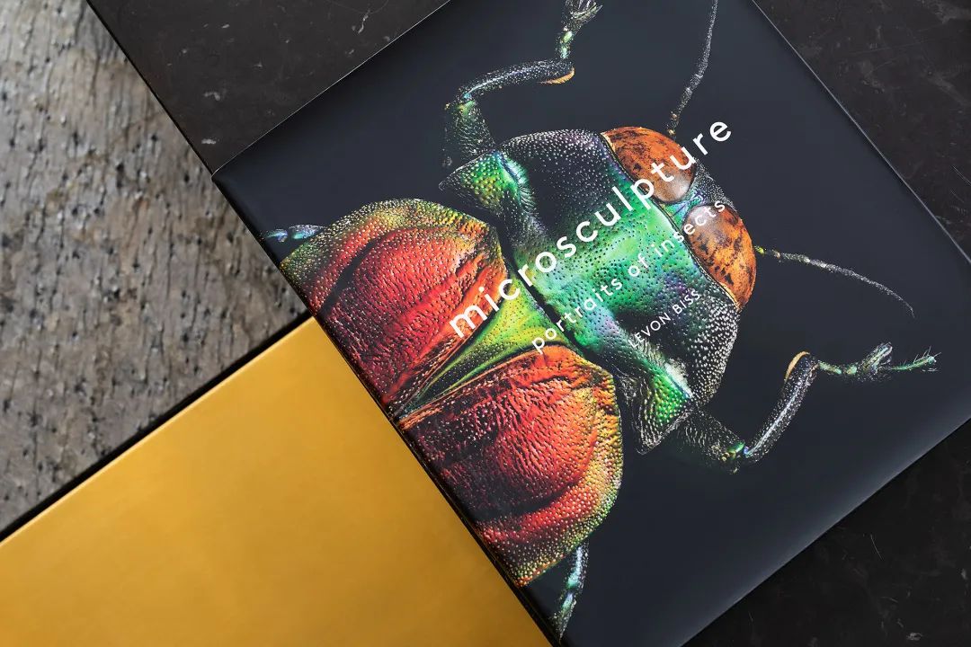 布鲁盟室内设计收费,布鲁盟设计工作室