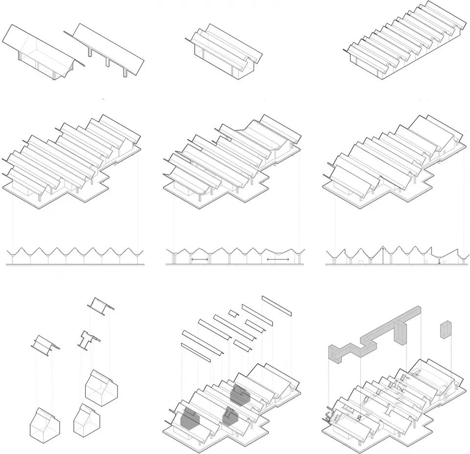 探索崇明东滩湿地公园的奥秘,崇明东滩湿地科研中心